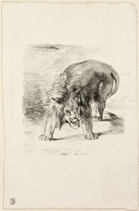 Stojący lew autorstwa Eugène Delacroix