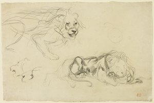 Studia Lwów autorstwa Eugène Delacroix