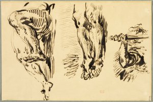 Studium ramion i nóg Chrystusa Ukrzyżowanego autorstwa Eugène Delacroix