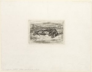 Tygrys odpoczywający na pustyni autorstwa Eugène Delacroix