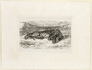Tygrys odpoczywający na pustyni autorstwa Eugène Delacroix