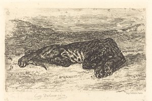 Tygrys śpiący na pustyni autorstwa Eugène Delacroix