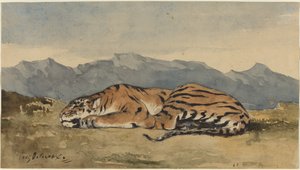 Tygrys, ok. 1830. autorstwa Eugène Delacroix