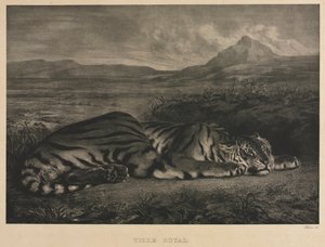 królewski tygrys autorstwa Eugène Delacroix