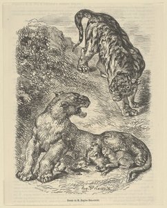 Tygrysica zaatakowana przez tygrysa podczas karmienia młodych, 1853., 1853. autorstwa Eugène Delacroix