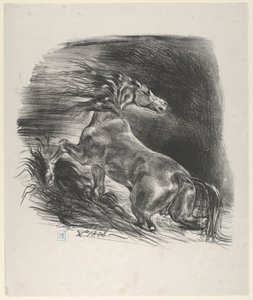 Dziki koń, 1828., 1828. autorstwa Eugène Delacroix