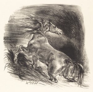 Dziki koń wychodzący z wodnego kawalera, 1828. autorstwa Eugène Delacroix