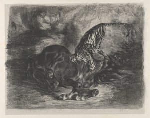 Dziki koń powalony przez tygrysa, 1828., 1828. autorstwa Eugène Delacroix