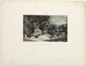 Młody tygrys bawi się z matką autorstwa Eugène Delacroix