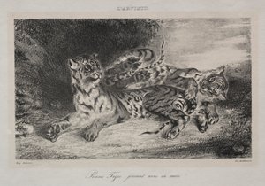 Młody tygrys bawi się z matką autorstwa Eugène Delacroix