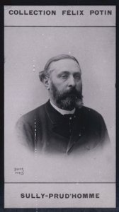 Armand Sully Prudhomme (1839) (zdjęcie czarno-białe) autorstwa European Photographer