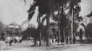 Brazylia: San Paolo, Jardim da Luz (zdjęcie czarno-białe) autorstwa European Photographer