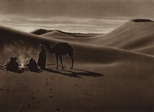 Wieczór na pustyni (zdjęcie czarno-białe) autorstwa European Photographer
