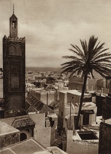 Tanger, Widok miasta z meczetem Aissaula (zdjęcie czarno-białe) autorstwa European Photographer