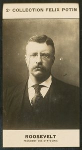 Theodore Roosevelt, Prezydent Stanów Zjednoczonych autorstwa European Photographer