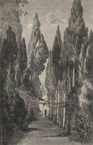Allele du Generalife (grawerowanie) autorstwa European School