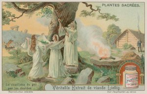 Starożytni druidzi zbierający jemioły autorstwa European School