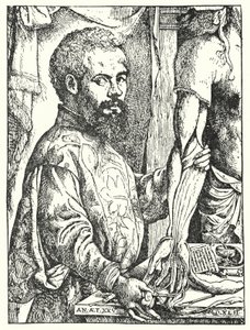 Andreas Vesalius (rycina) autorstwa European School
