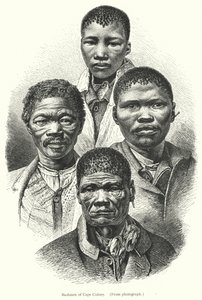 Buszmeni z Cape Colony (grafika) autorstwa European School