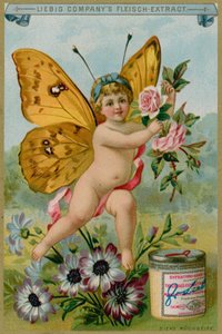Aniołek Motyl ze Stokrotkami