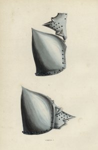 Casques (kolorowy grawer) autorstwa European School