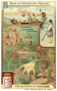 Charybda i piramidalna Lucernia (chromolitho) autorstwa European School