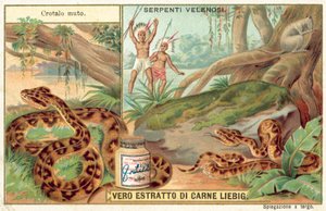 Copperhead (chromolitho) autorstwa European School