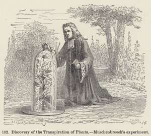 Odkrycie transpiracji roślin, eksperyment Muschenbroecka (grafika) autorstwa European School