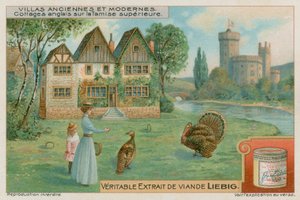 Angielskie domki nad Górną Tamizą autorstwa European School