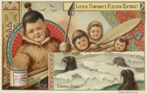 Eskimos autorstwa European School