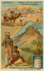 Miasto Goldrush Coolgardie, wieś wokół Kimberley i aborygeni z Queensland autorstwa European School