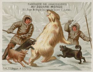 Polowanie na niedźwiedzie polarne z psami (chromolitho) autorstwa European School