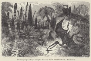 Wyimaginowany krajobraz w drugiej epoce, z pterodaktylami, okres Liasa (rycina) autorstwa European School
