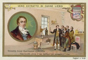 Joseph Louis Gay-Lussac, francuski chemik i fizyk. autorstwa European School