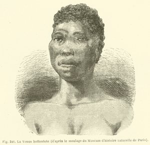 Hottentot Venus, z obsady Muzeum Historii Naturalnej w Paryżu (rycina) autorstwa European School