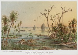 Laguna w North Loango, Afryka Zachodnia (chromolitho) autorstwa European School