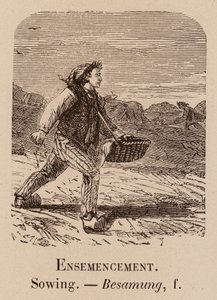 Słownik ilustracyjny: Siew; Siew; Besamung (grawerowanie) autorstwa European School