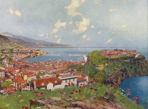 Monako, skała i widok ogólny (kolorowa litografia) autorstwa European School