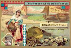 Małże i ostrygi (chromolitho) autorstwa European School