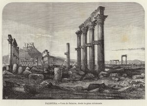 Palestyna, Widok Palmyry, z wielkiej kolumnady autorstwa European School