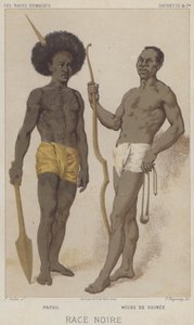 Czarna rasa, papuaska, czarna z Gwinei (chromolitho) autorstwa European School