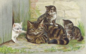 Kotka tabby z trójką kociąt (chromolitho) autorstwa European School