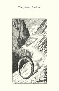 Sprytne węże (grawerunek) autorstwa European School