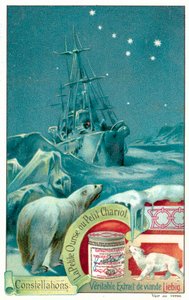 Ursa Minor (chromolitho) autorstwa European School
