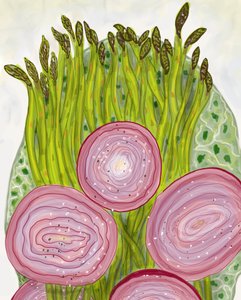 Szparagi, Brooklyn (grafika cyfrowa)