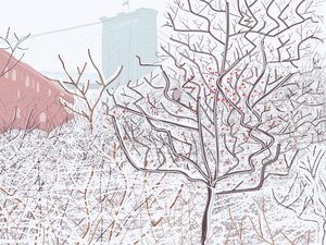 Ptak w śniegu, Brooklyn Bridge Park (grafika cyfrowa) autorstwa Evan Sklar