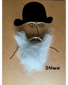 Karol Darwin autorstwa Evan Sklar
