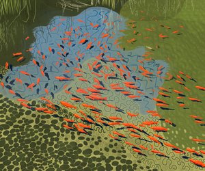 Staw Coy w ogrodzie botanicznym (grafika cyfrowa)