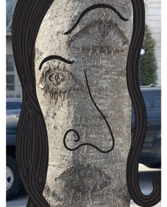 Ilustracja twarzy drzewa przy użyciu fotografii i rysunku Brooklyn (sztuka cyfrowa) autorstwa Evan Sklar