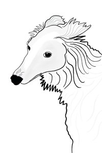 Rysunek liniowy Silken Windhound (grafika cyfrowa) autorstwa Evan Sklar